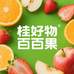 桂好物百果