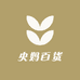 央妈百货