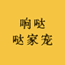 响哒哒家宠