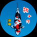 鲤小洋锦鲤