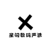 星闪数码严选