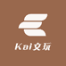 Kai文玩店
