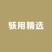 骇用精选
