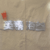 闽南英镑海参
