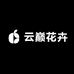 云巅花卉
