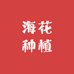 海花种植