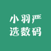 小羽严选数码