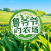 鲁爷爷的农场