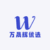 万晟辉优选