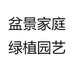 盆景家庭绿植园艺