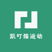 凯叮猫运动