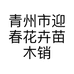 青州市迎春花卉苗木销售中心的小店