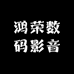 鸿荣数码影音