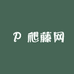 园艺植物爬藤网