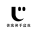 善寓佛手盆栽