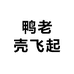 鸭老壳飞起6店
