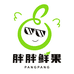 胖胖鲜果