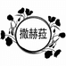 撒哈拉店
