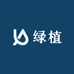 绿植小盆栽供应