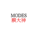 MODES膜大神汽车用品企业店