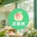 龙泉桃满天下