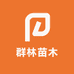 群林苗木