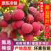 岭南雷岭荔枝生态园