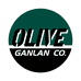 Olive滑板