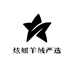 炫妞羊绒严选集合店
