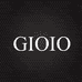 GIOIO广州龙浩电子商务有限公司汽车改装专卖店