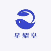 星耀皇数码
