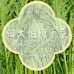 田大伯梅干菜企业店