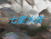 七星水族