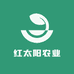 红太阳生鲜