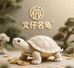 文仔名龟