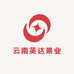 云南英达果业