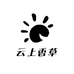 云上香草