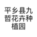 平乡县九哲花卉种植园的小店