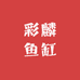 彩麟鱼缸