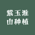 紫玉淮山种植