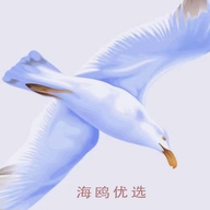 海鸥优选商行个体店