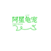 阿星龟宠