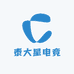 泰大星电竞