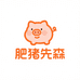 肥猪先森家电家居旗舰店