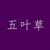 五叶草