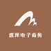 霆泽电子商务网店