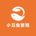 小丑鱼繁殖工厂