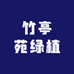 竹亭苑绿植