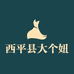 西平县大个妞服装店