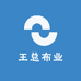 王总布业